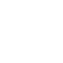 Custom icon