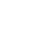 Custom icon