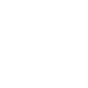 Custom icon